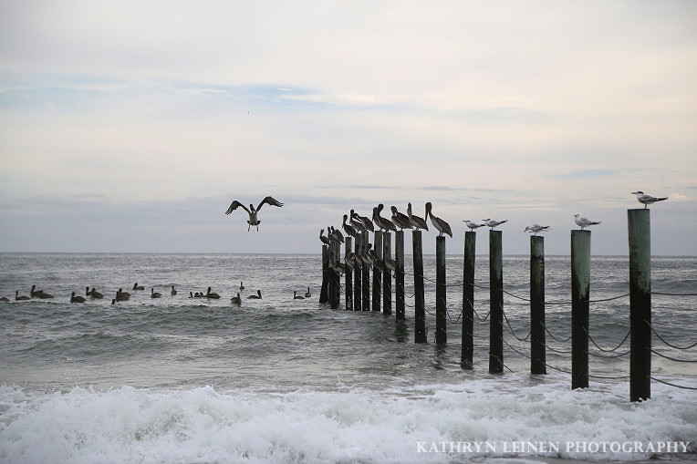 Carova Beach